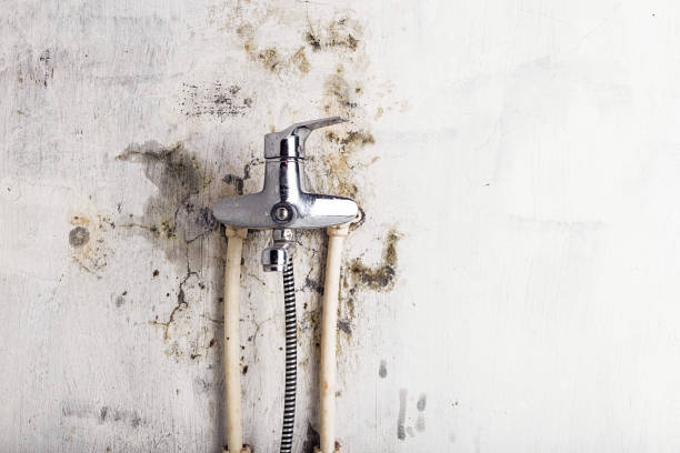Best Mold Cleaning Services  in Sanford, ME