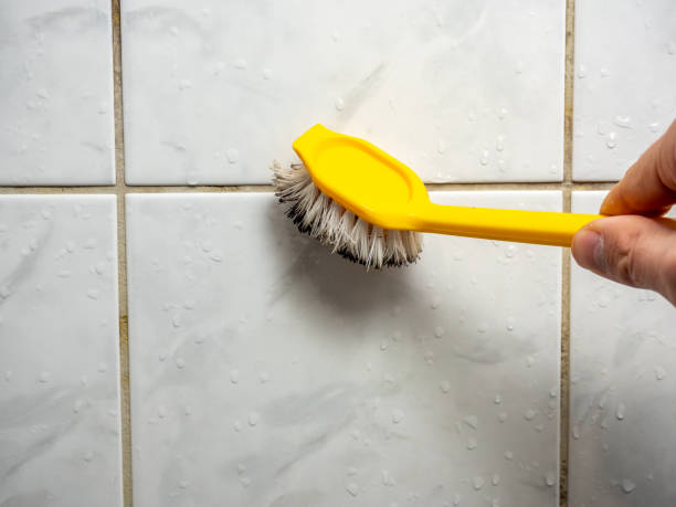 Best Mold Damage Repair  in Sanford, ME