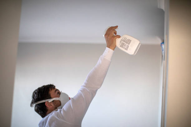 Best Mold Remediation  in Sanford, ME