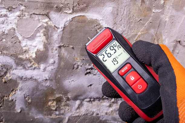 Best Toxic Mold Removal  in Sanford, ME