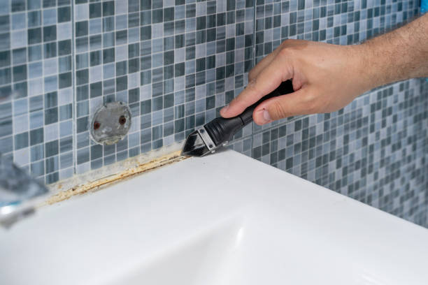 Best Certified Mold Removal  in Sanford, ME