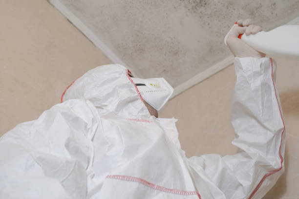 Best Toxic Mold Removal  in Sanford, ME