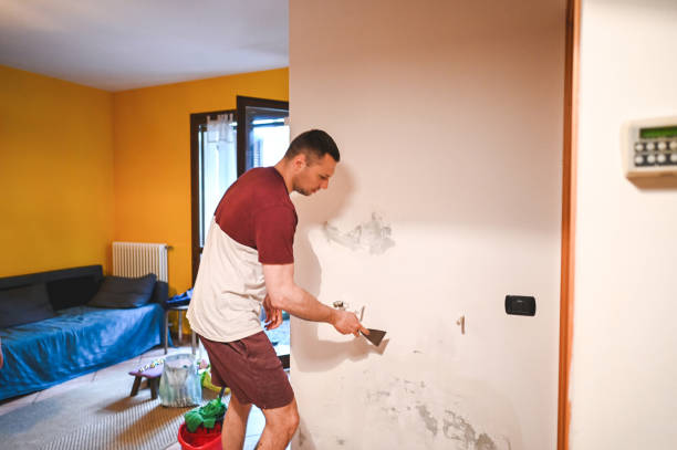 Best Affordable Mold Removal  in Sanford, ME