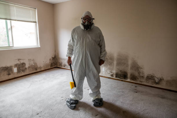 Best Attic Mold Removal  in Sanford, ME